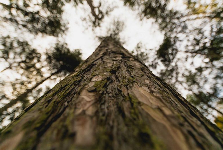 Surf Clothing and Accessories.